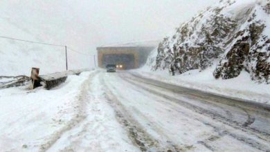 بارش برف و باران در جاده‌های ۲۹ استان / جاده چالوس یکطرفه شد