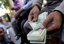 قیمت دلار امروز ۷ خرداد ۱۴۰۳ / دلار در منطقه امن منجمد شد