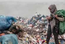 درآمد ماهانه مافیای زباله از هر زباله‌گرد