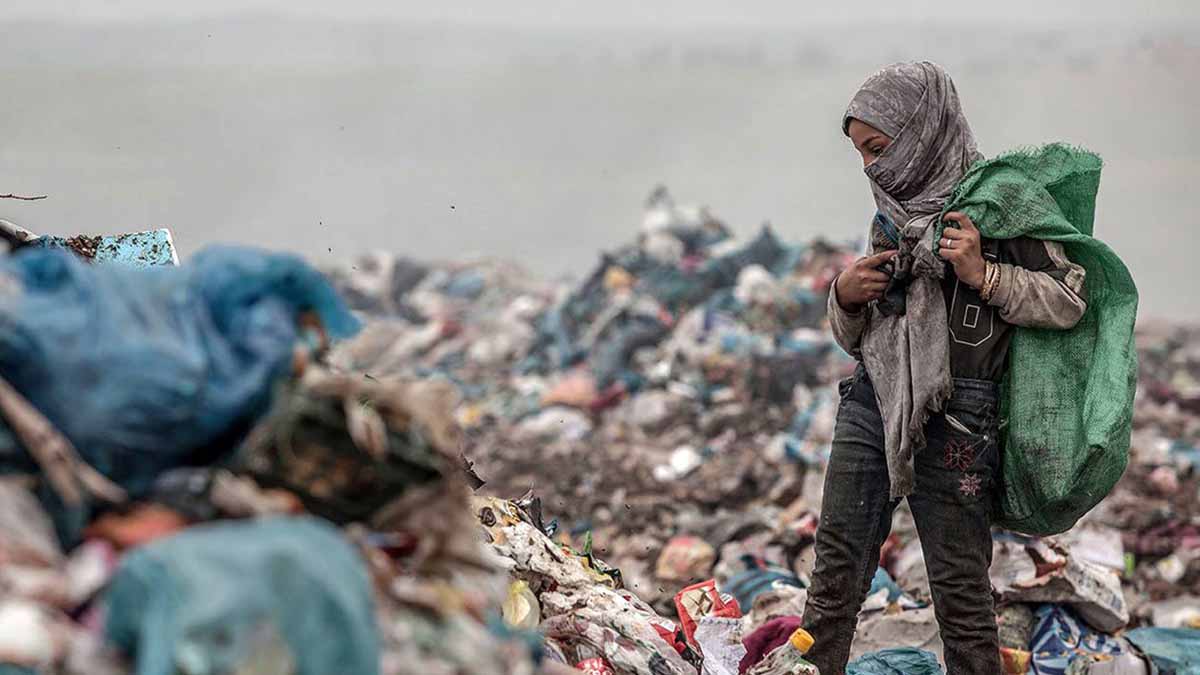 درآمد ماهانه مافیای زباله از هر زباله‌گرد