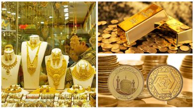 نوسانات نرخ ارز، سکه و طلا طبیعی است