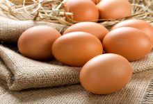افزایش ۳۵ درصدی تولید تخم مرغ