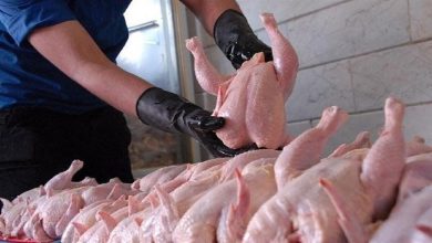 پیش‌بینی قیمت مرغ تا پایان سال