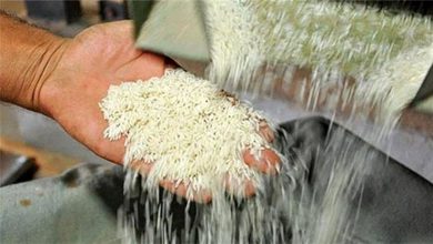 واردات یک میلیون تن برنج در ۱۱ ماهه امسال