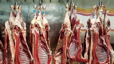 واردات گوشت قرمز از آفریقای جنوبی