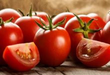 عوارض صادرات گوجه فرنگی حذف می‌شود