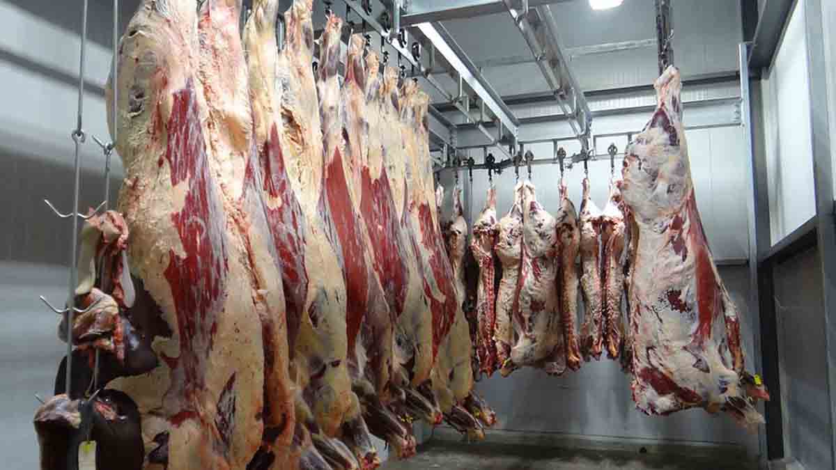 واردات ۱۰۳ هزار تنی گوشت قرمز / کم شدن اختلاف قیمت گوشت داخلی و وارداتی