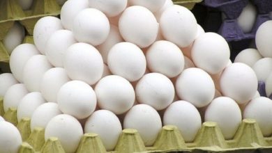 ارزآوری ۱۳۰ میلیون دلاری صادرات تخم‌مرغ