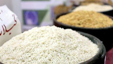 برنج درجه یک ایرانی ارزان شد