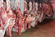 قیمت انواع گوشت ۱۹ خرداد ۱۴۰۳