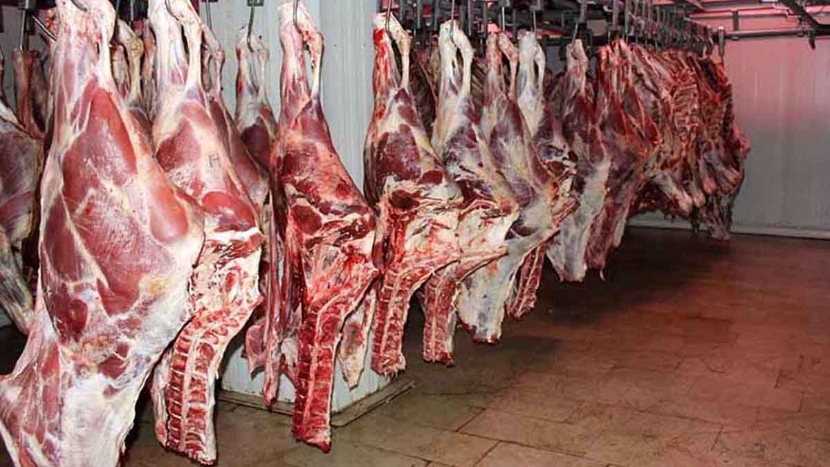 قیمت انواع گوشت ۱۹ خرداد ۱۴۰۳