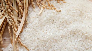 برنج عنبربو چیست و چه خواصی دارد؟ معرفی برنج عنبربو