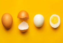 رژیم تخم مرغ چیست؟