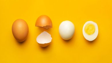رژیم تخم مرغ چیست؟